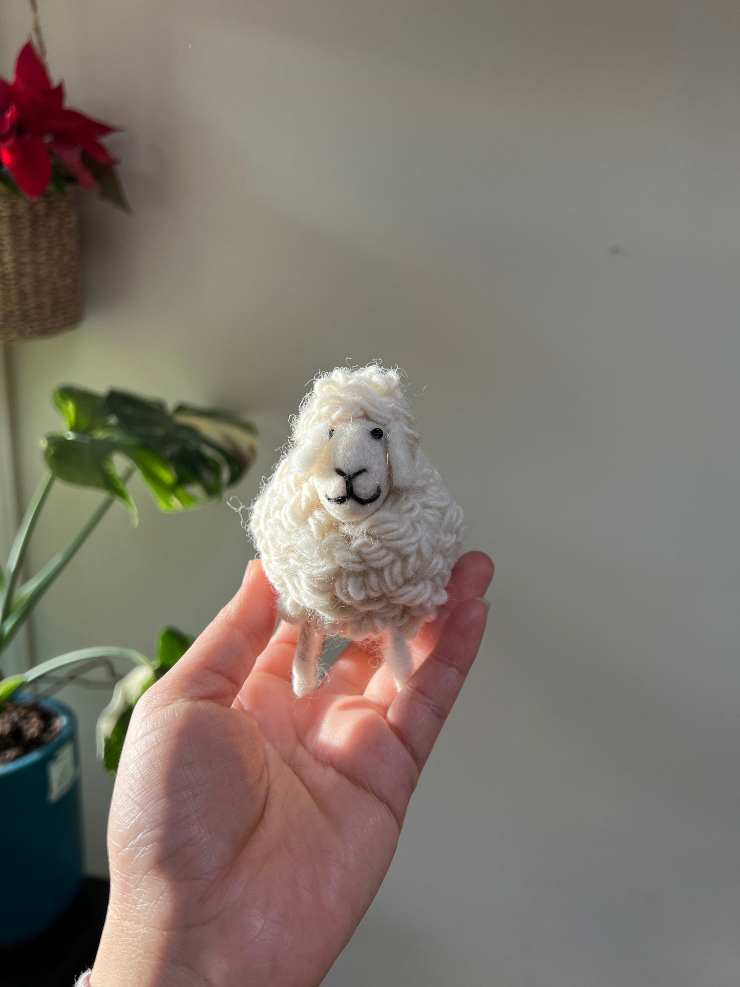 Fluffy Mountain Sheep Collection