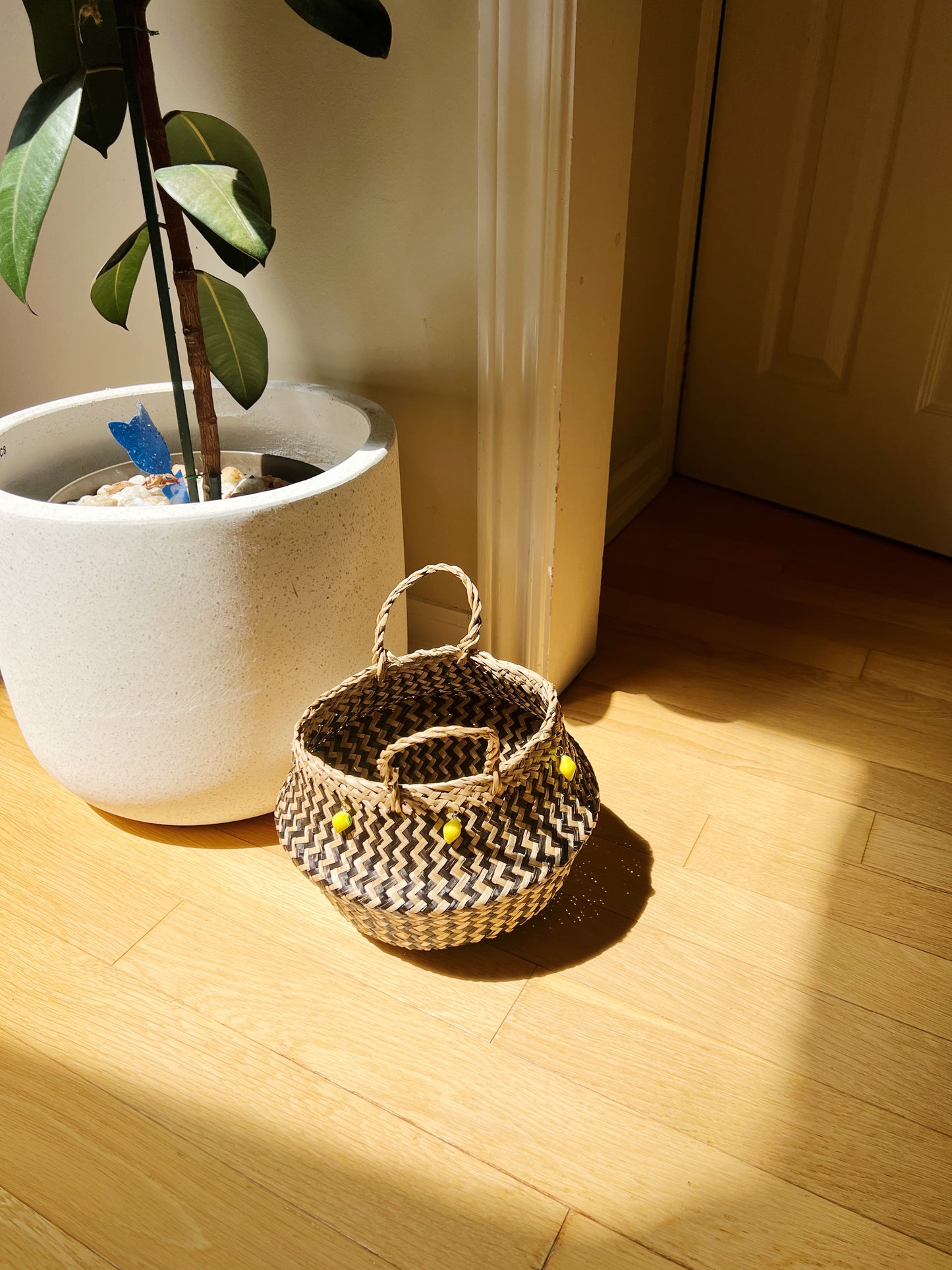 Lemon Handwoven Foldable  Basket