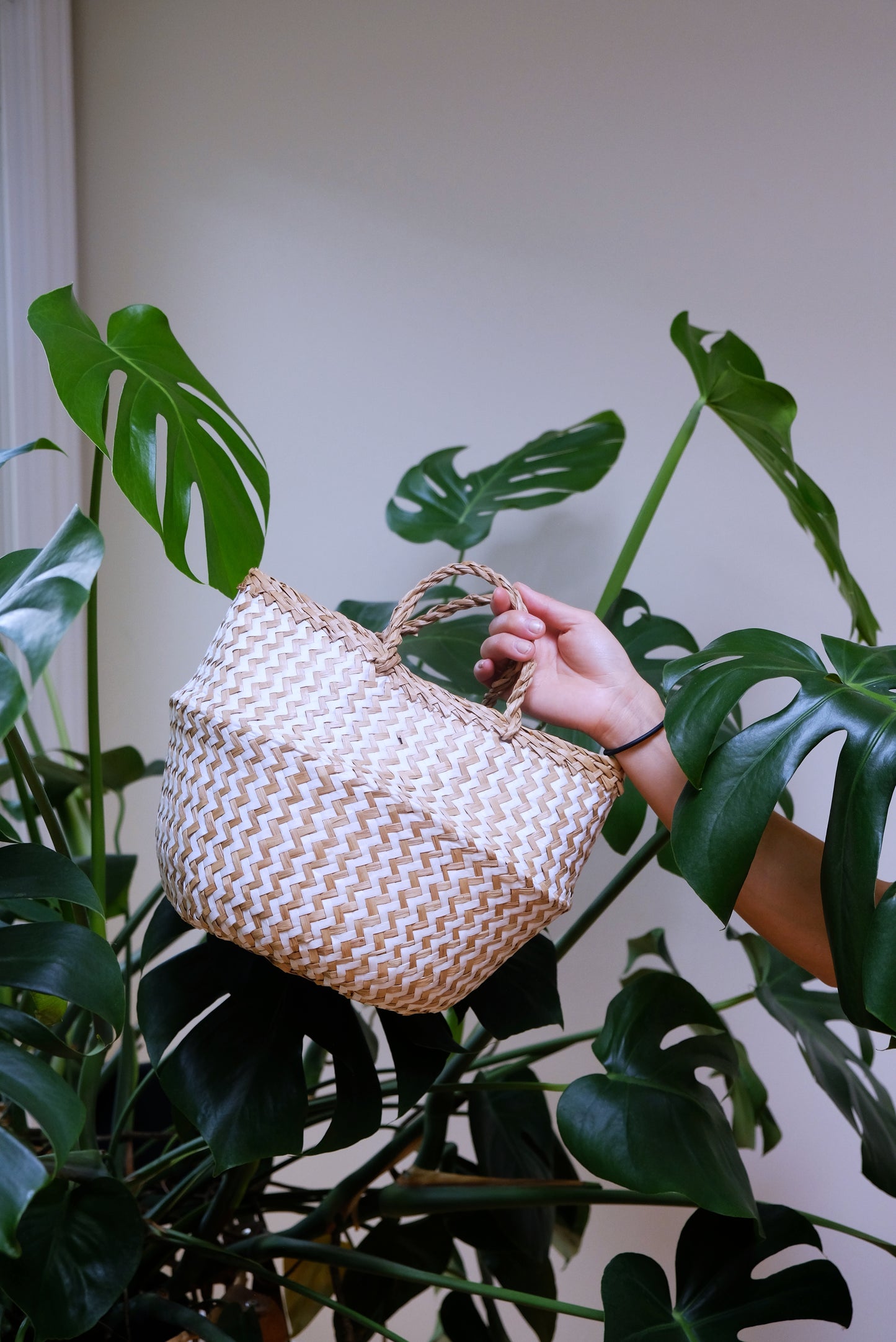 Zigzag White Pattern Belly Basket