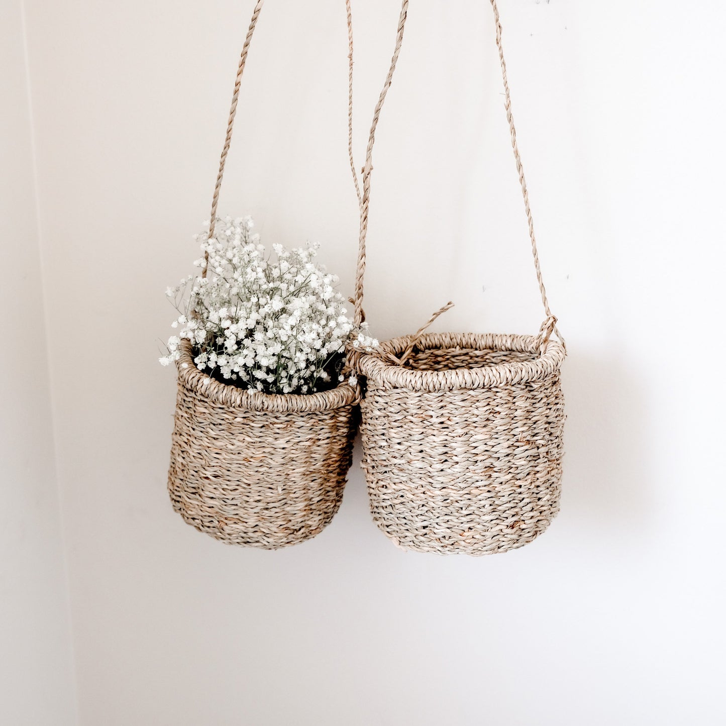 Petite Ava Hanging Basket