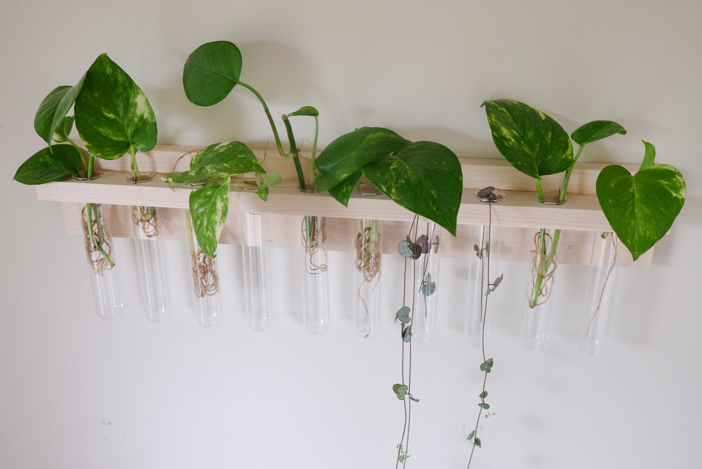 Wall Mounted Propagation station