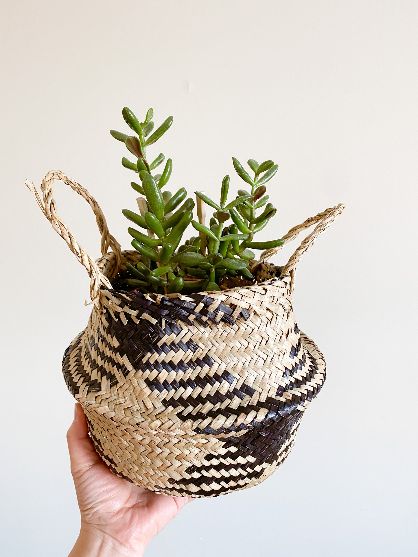 Black Zigzac Foldable Seagrass Basket