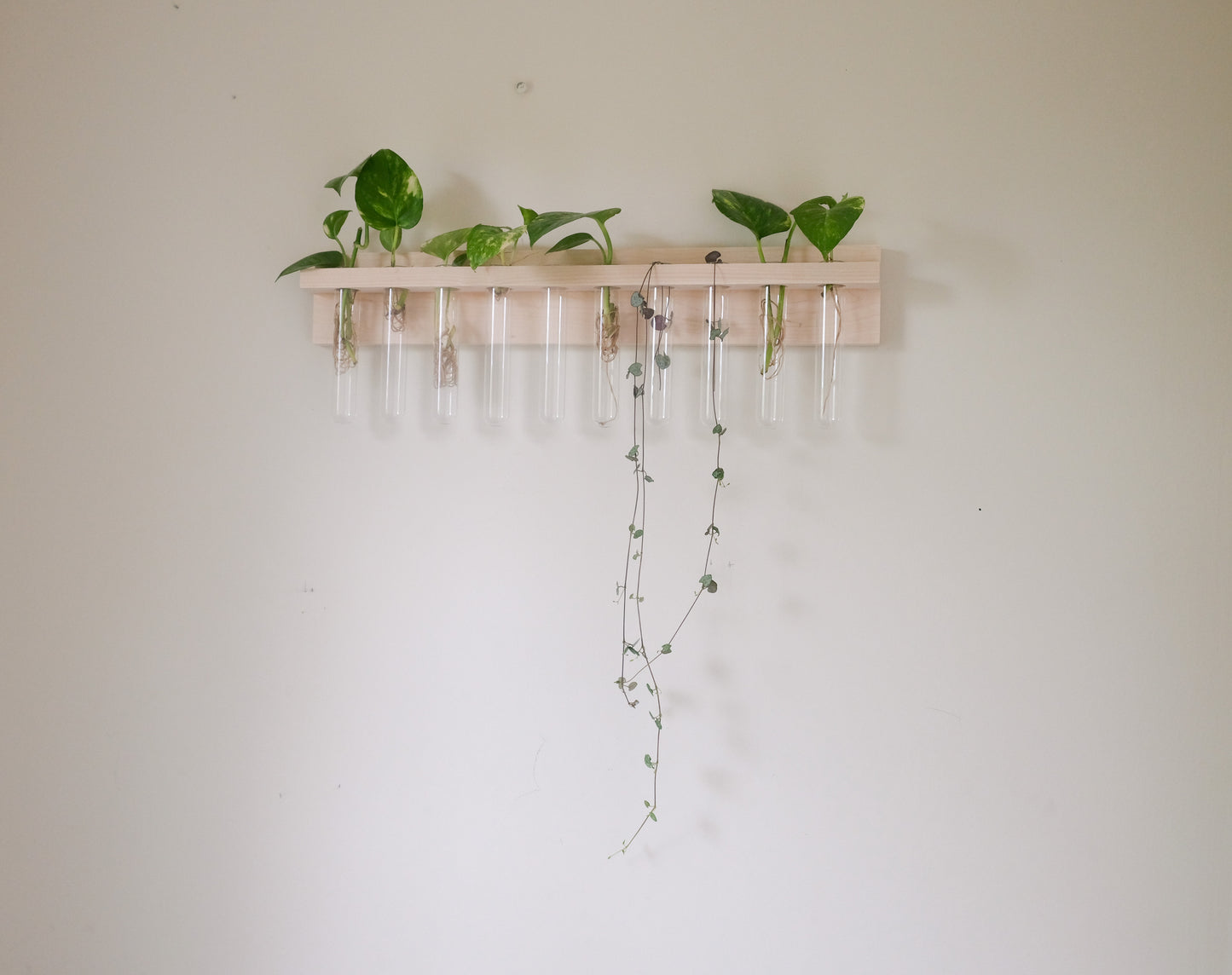 Wall Mounted Propagation station