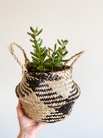 Black Diamond Foldable Seagrass Basket