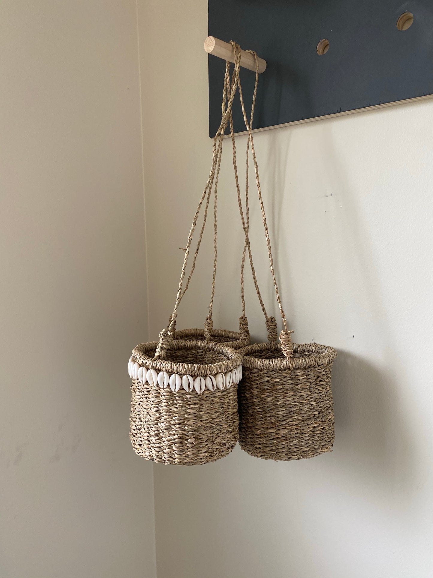 Petite Ava Hanging Basket