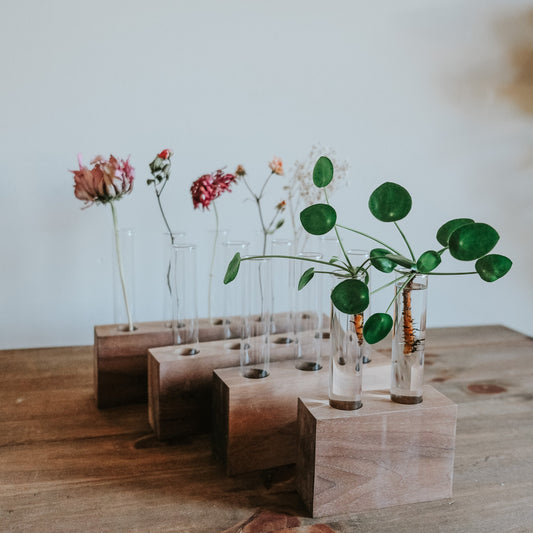 Walnut Propagation Block