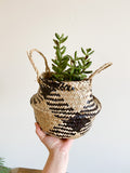 Black Diamond Foldable Seagrass Basket