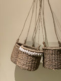 Petite Ava Hanging Basket