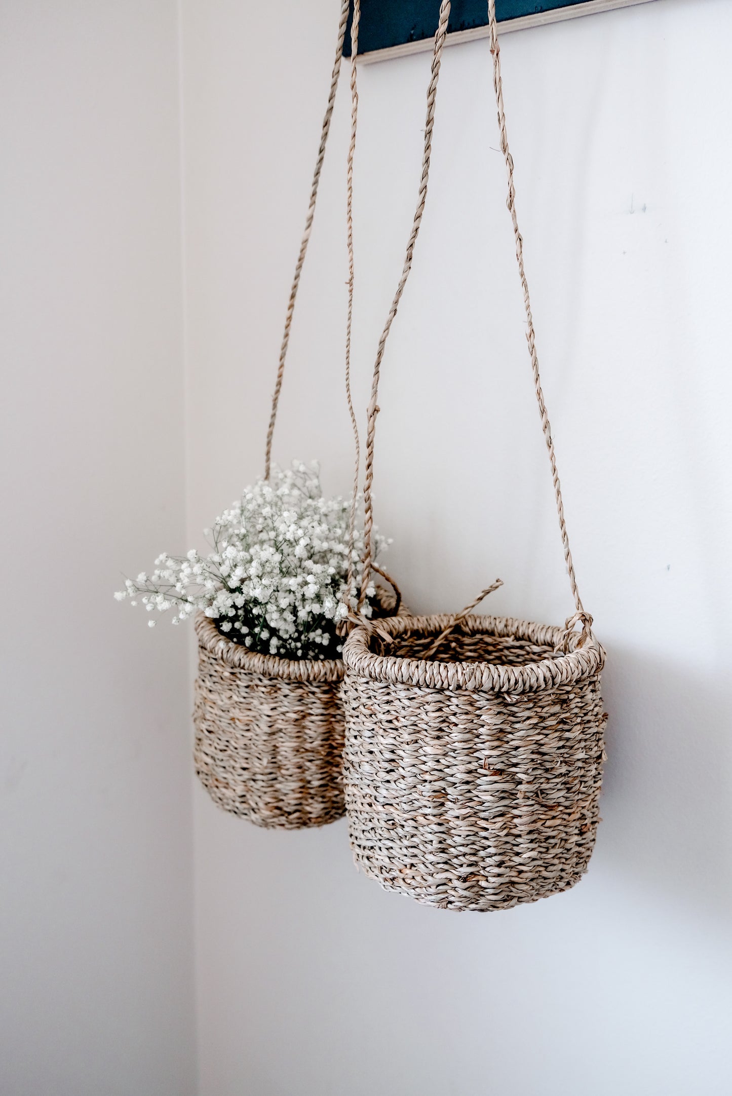 Petite Ava Hanging Basket